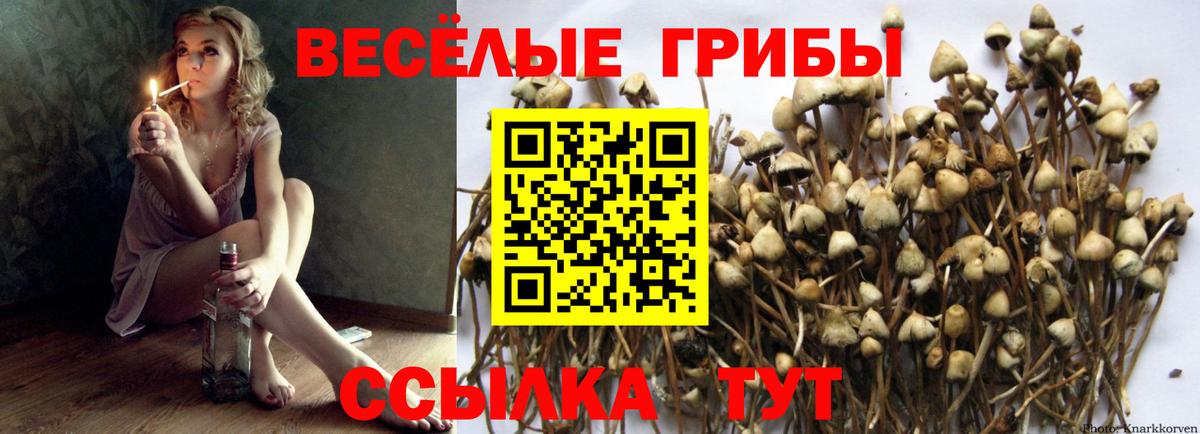 Мурманск  Галлюциногенные грибы GOLDEN TEACHER  Вход с VPN 